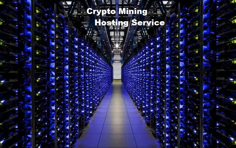 Crypto Mining Hosting Service